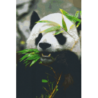 Panda 830042